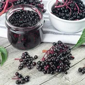 DIY Elderberry Syrup Kit – Make Your Own Immune-Boosting Herbal Syrup, All-Natural — Casari Ranch