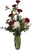 1/2 Doz Carnations