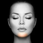 Chin – Fall Sale
