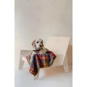 Recycled Wool Small Pet Blanket | Buchanan Antique Tartan