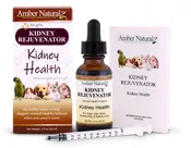 Amber Tech Kidney Rejuvenator