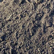 Compost