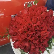 100 Red Roses
