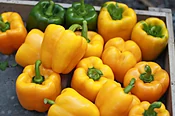 Abay Bell Pepper (Not Treated)