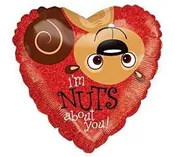 18" I'm nuts about you! Squirrel Heart Shaped Balloon pack of 28