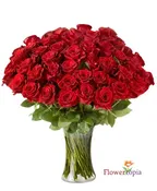 50 ROSES RED OR PINK OR HOT PINK OR WHITE  ROSES
