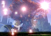The Tree of Life - Angel's Energy