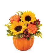 AUTUMN JOY PUMPKIN