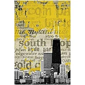 Chicago Neighborhoods