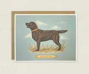 Happy Birthday Chocolate Lab Greeting Card