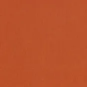 Sunbrella 54010 Canvas Rust