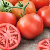 Big Beef Tomato (2 Pack)