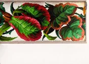 Berlin Woolwork Needlepoint Chart - Coleus
