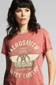 Aerosmith Sweet Emotion 1975 Tee