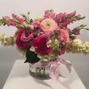 Fifty Shades of Pink