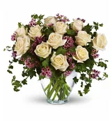 24 Cream Romance Roses & Ivy