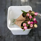 Bucket Deposit