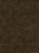 Denali - Dark Brown Ostrich Vinyl (54" Wide) (VLD-48) - Automotive Upholstery (VYAFV48)