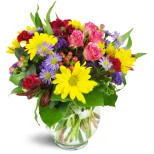 Joyful Thanks™