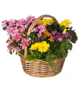 Heavenly Garden Planter