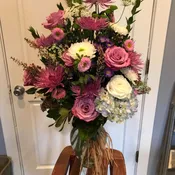 Roses Upon Roses!
