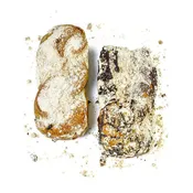 Babka Duo