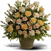 Rose Remembrance