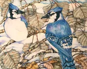Barbara Weets: "Cottonwood Brush - Blue Jays
