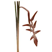 Plush Hanging Heliconia Flower