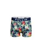 BOXER COURT FIDJOU