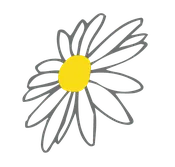 Medium Bouquet — Daisy Dig'ins