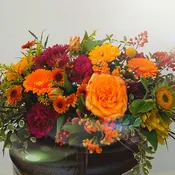 Autumn Blossoms