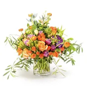 Poppy — My Fair Lady's Flowers
