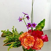 Feeling Bloomy