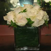 1 Dz.white roses #43