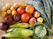 CSA Stillman's Farm Best - Summer