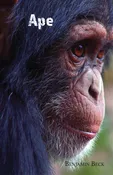 Ape by Benjamin Beck — Salt Water Media