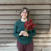 Celosia Plume - Scarlet Red - Short — Charles Little and Company LLC