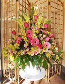 Celebration of Life