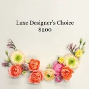 Designer's Choice Luxe: $200
