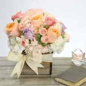 Pastel Box By Kokee