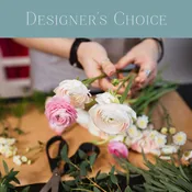 Designer's Choice