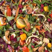 Food Waste – Residential