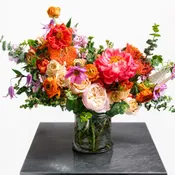 Bold & Cheerful - Colorful Design