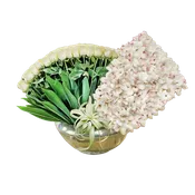 AF 1950-2 Luxury White Roses & Cymbidium Orchids – Same Day Flower Delivery Miami