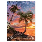 25-Pack Hawaii Generic Postcards Coconut Palm Sunset 5x7