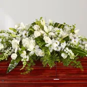Anima Mundi - Sympathy Casket Spray