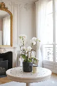 CALABASAS ETHEREAL ORCHID ELEGANCE