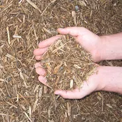 Nature Blend Mulch