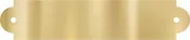 Brass Plate, 3.5" x .75", with screw holes